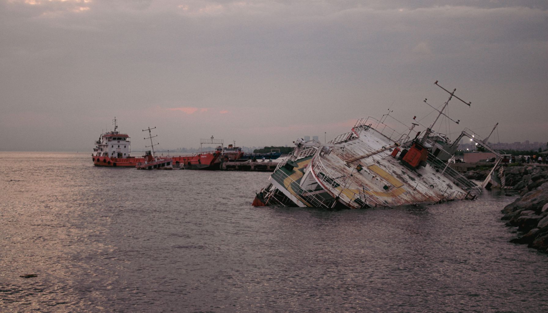 Un cachalote hunde un yate en el Pacífico Sur; cuatro marineros rescatados — Foto: Necip Duman (Pexels)