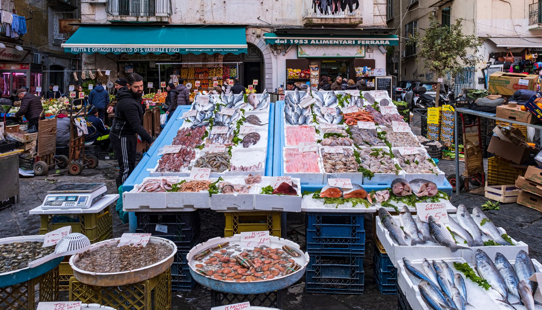Colorful fish market in Campania, Italy, showcasing fresh seafood variety on display.