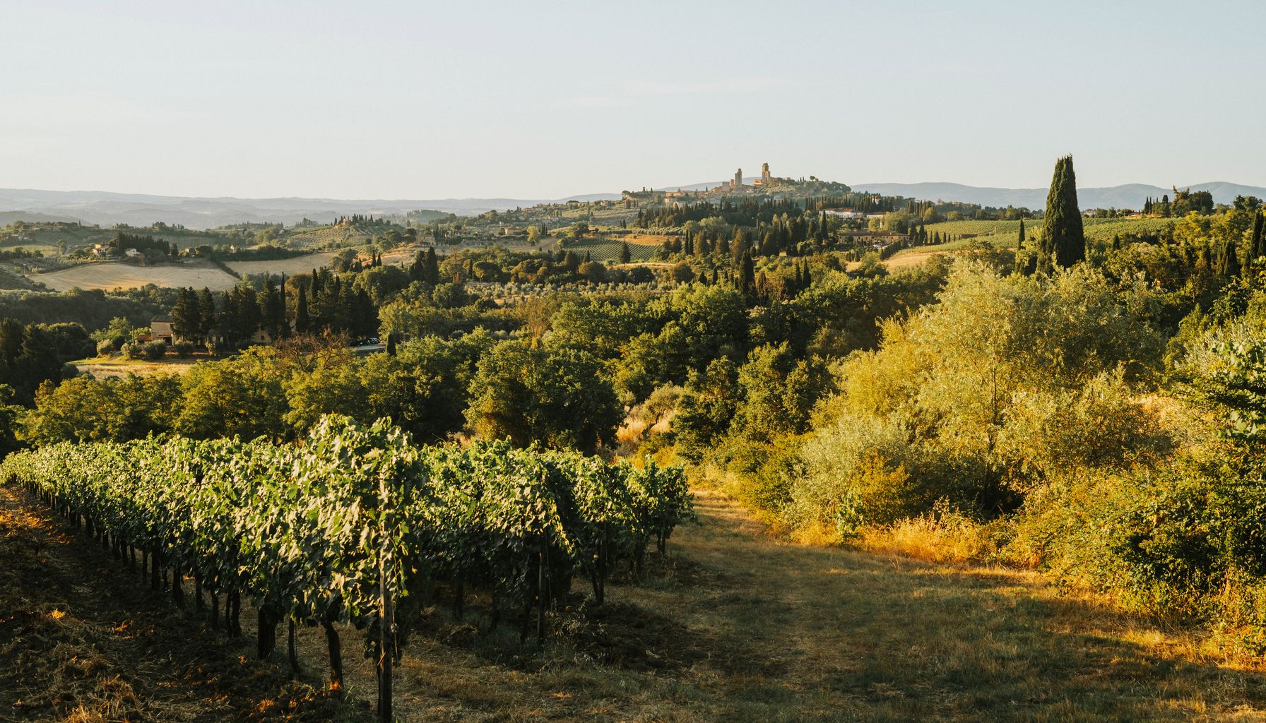 A serene view of rolling vineyards and hills in Tuscany, bathed in warm sunset light.