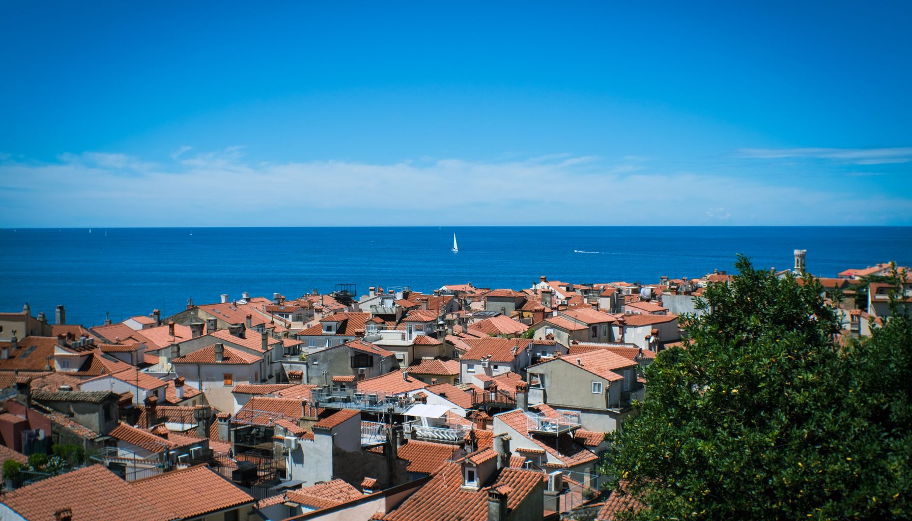 A picturesque view of Piran's terracotta rooftops and the Adriatic Sea under a clear blue sky.