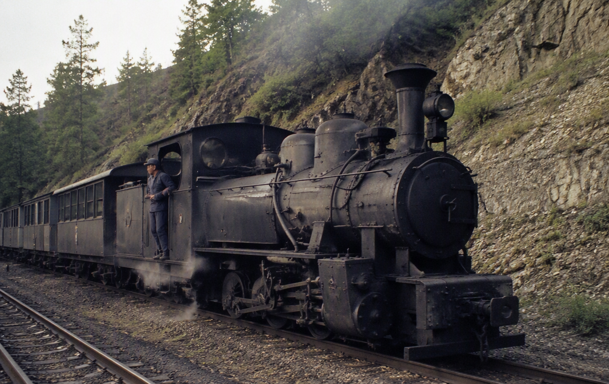Steam locomotive returns to operate on Sardinia’s Trenino Verde — Foto: Ilustração