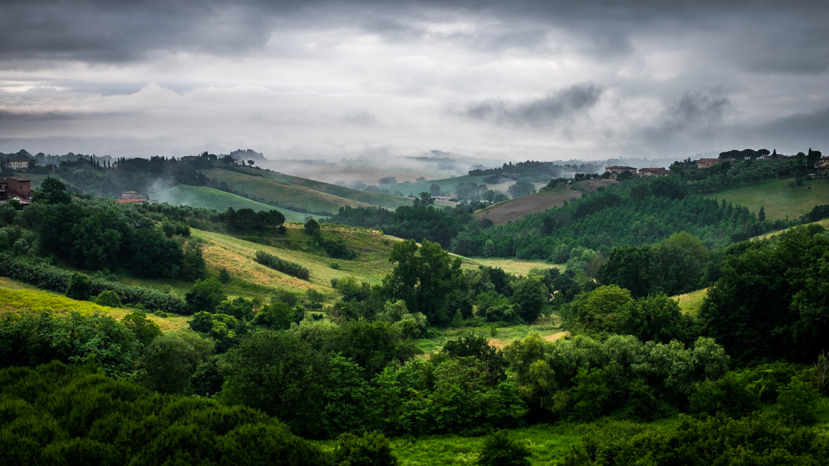 Tuscany Landscape Siena Italy Landscape Photography (160861239)