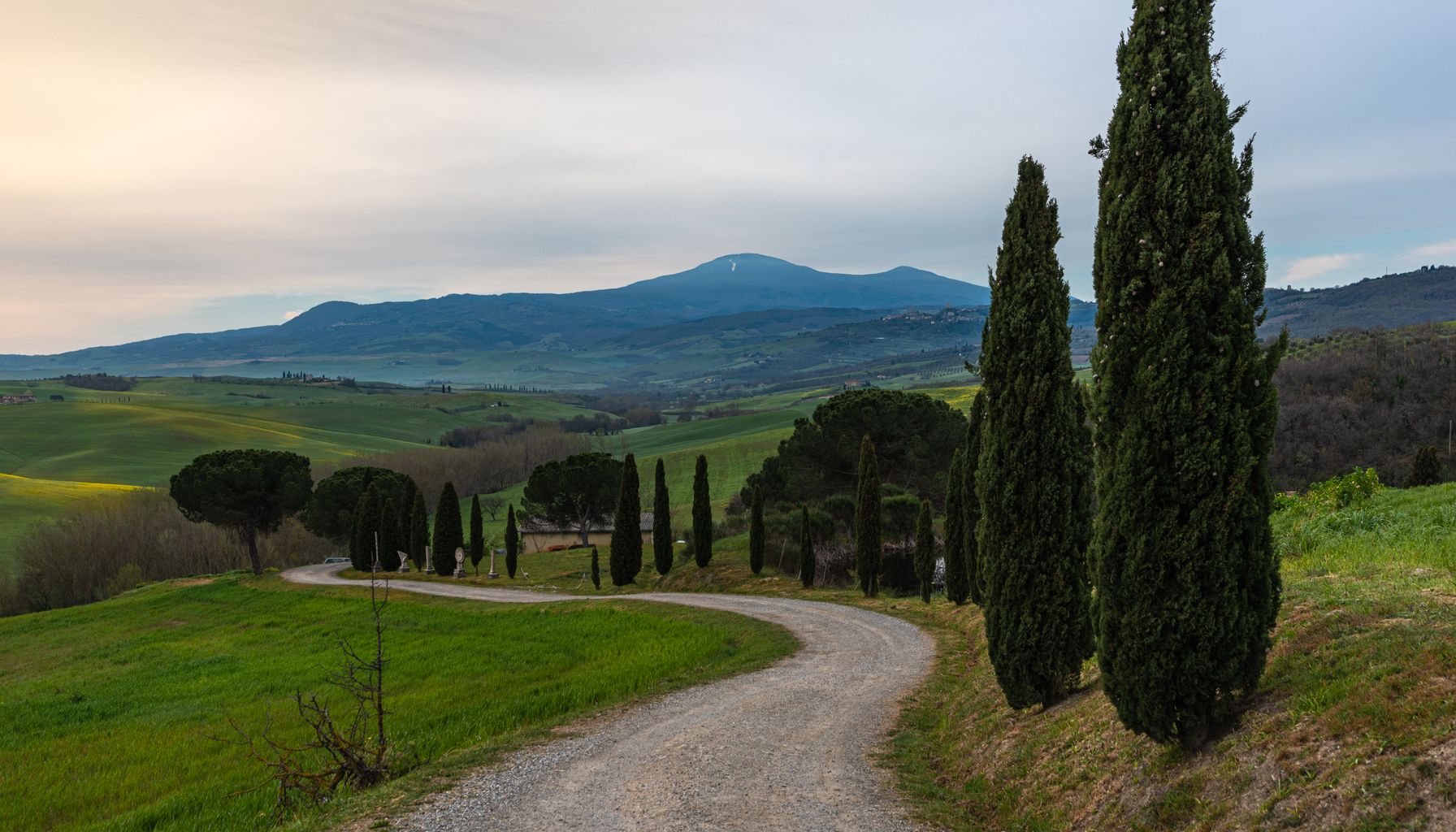 Beautiful winding road lined with cypress trees in Tuscany, Italy.