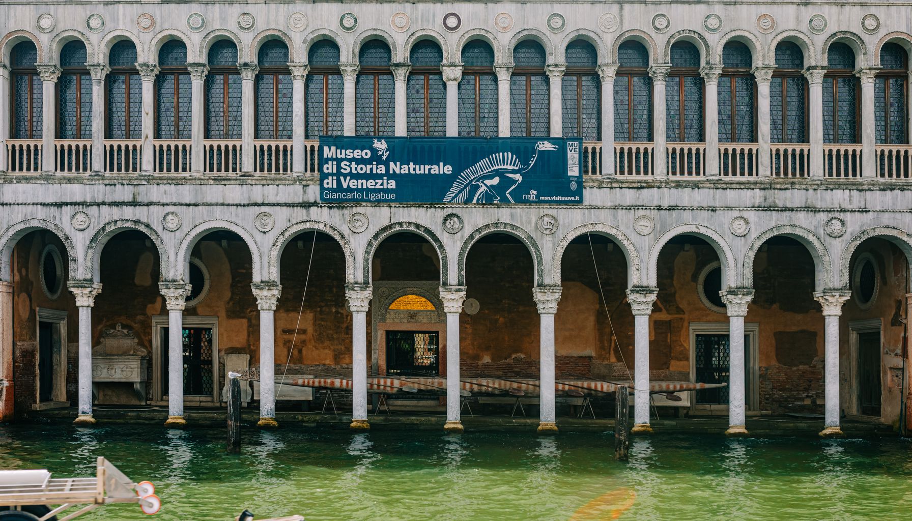 Tribunale di Venezia confirma cidadania iure sanguinis — Foto: Helena Jankovičová Kováčová (Pexels)
