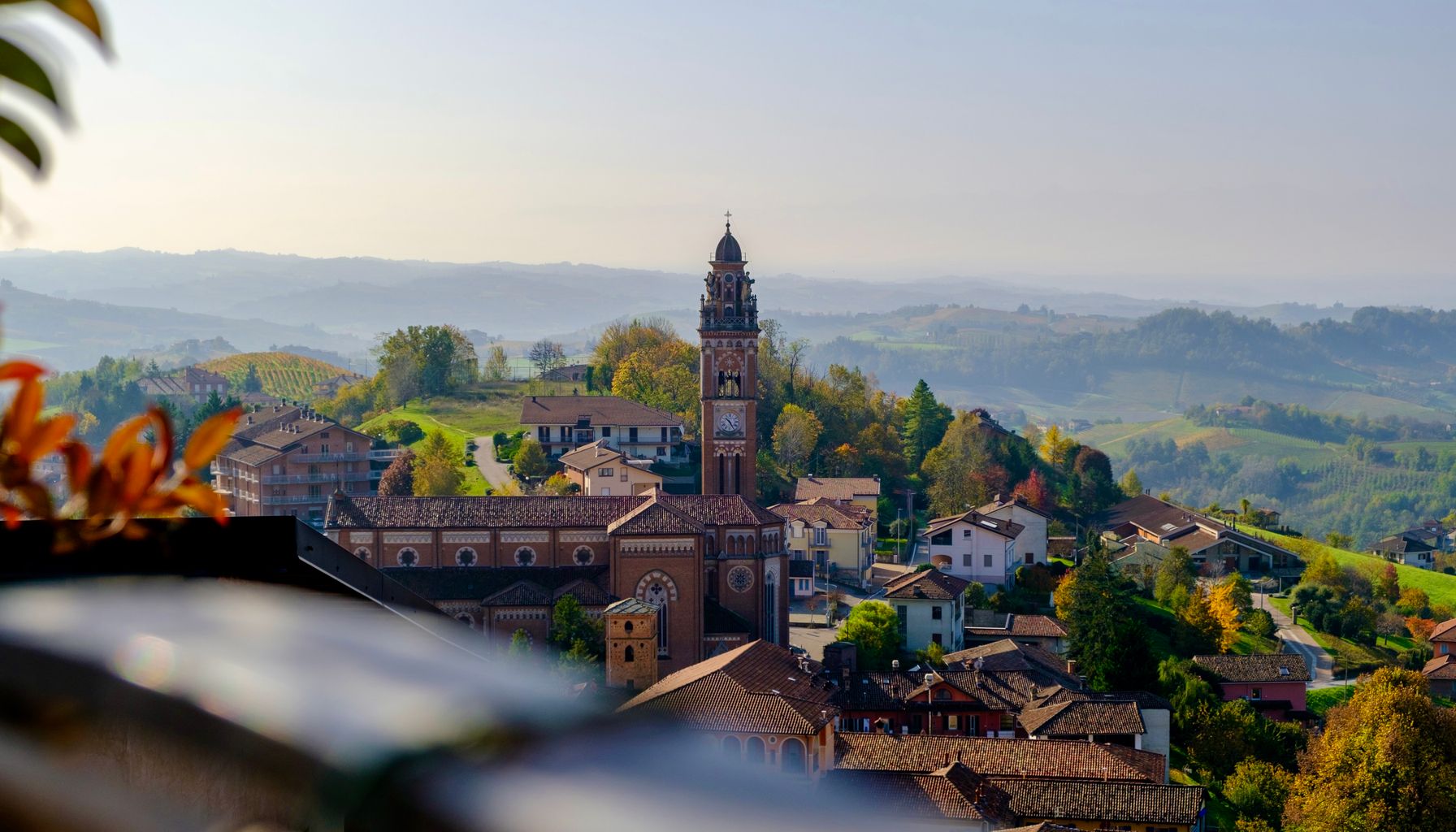 Italian Wines: A Beginner's Guide by Region 2026