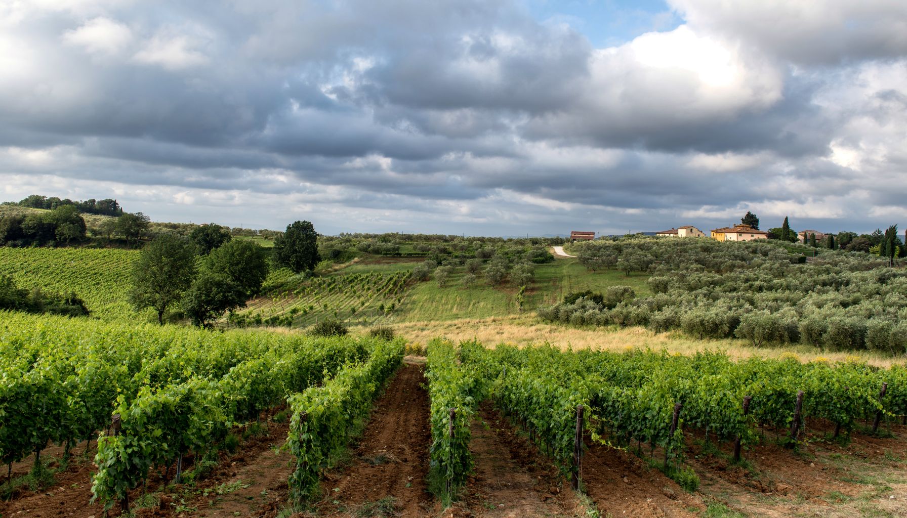Vinhos Italianos: Guia para Iniciantes por Região 2026 — Foto: Wolfgang Weiser (Pexels)